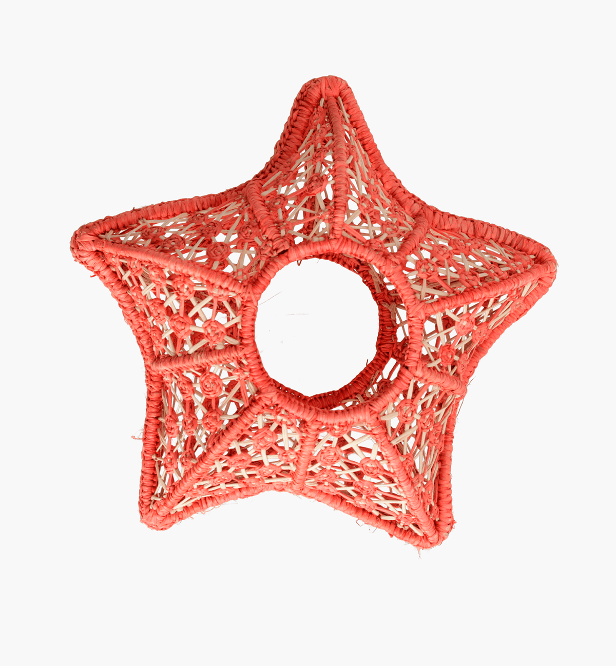 Little Coral Starfish Flower Vase Set of 2